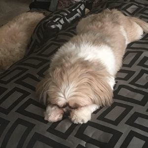 Meet your Posher, Denise